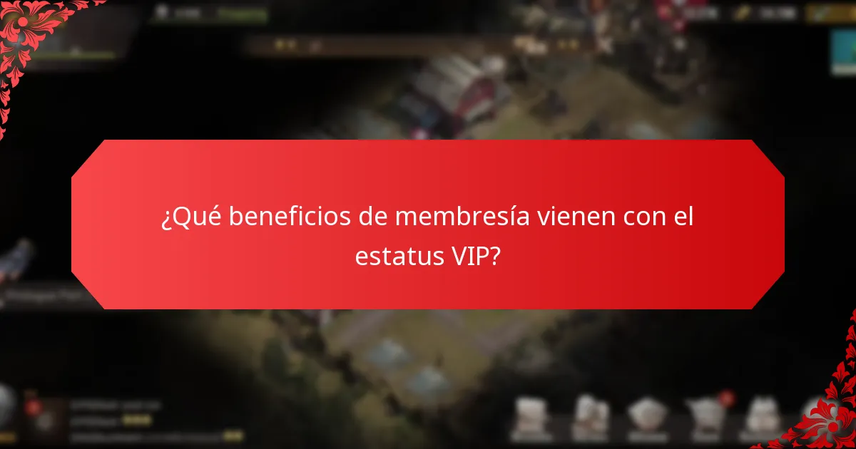 ¿Cómo funcionan los beneficios de nivel en los programas VIP?